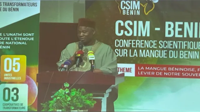 Réflexion sur les enjeux de la filière mangue